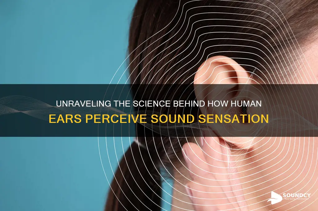 how sensation of sound is produced in human ear