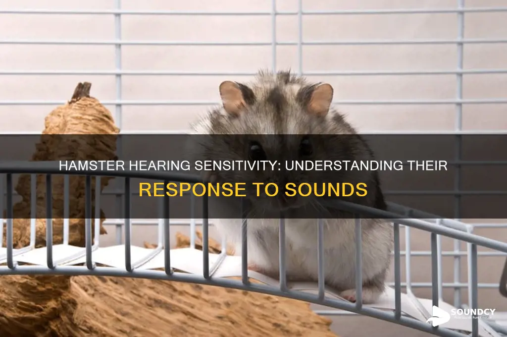 how sensitive are hamsters to sound