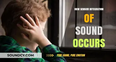 Exploring Sound Sensor Integration: How Audio Detection Works in Devices