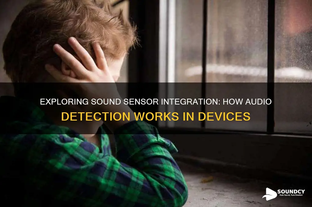 how sensor integration of sound occurs