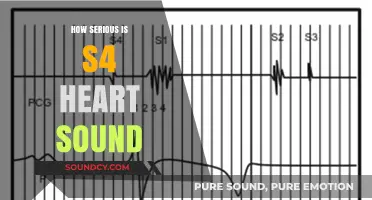 Understanding S4 Heart Sound: Severity, Symptoms, and Treatment Options