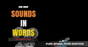 Decoding Sheep Sounds: Words to Describe Their Unique Vocalizations