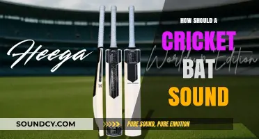 The Perfect Cricket Bat Sound: A Guide to Sweet Spot Acoustics