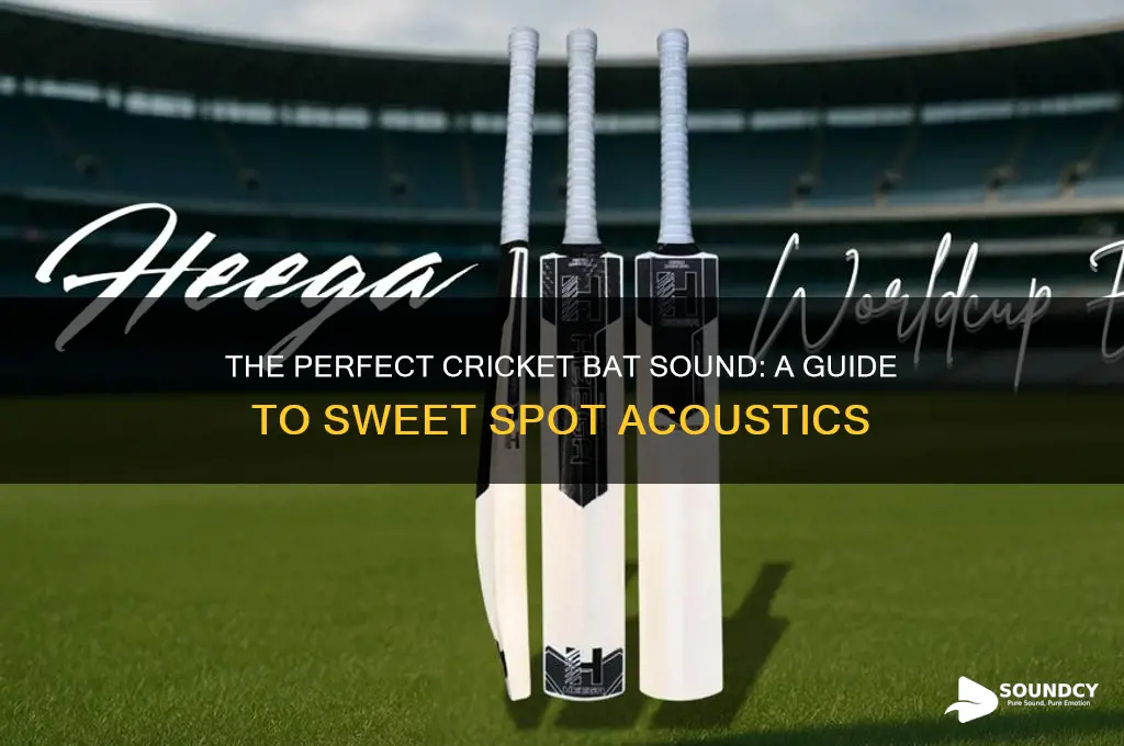 how should a cricket bat sound