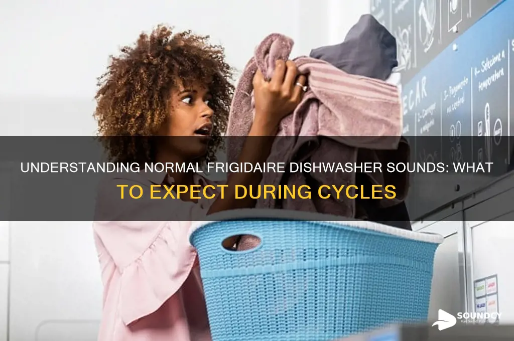 how should a frigidaire dishwasher sound