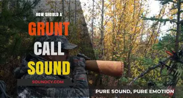 Mastering the Perfect Grunt Call: Techniques for Realistic and Effective Sounds