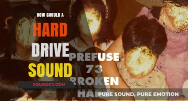 Understanding Normal Hard Drive Noises: What Sounds Are Acceptable?