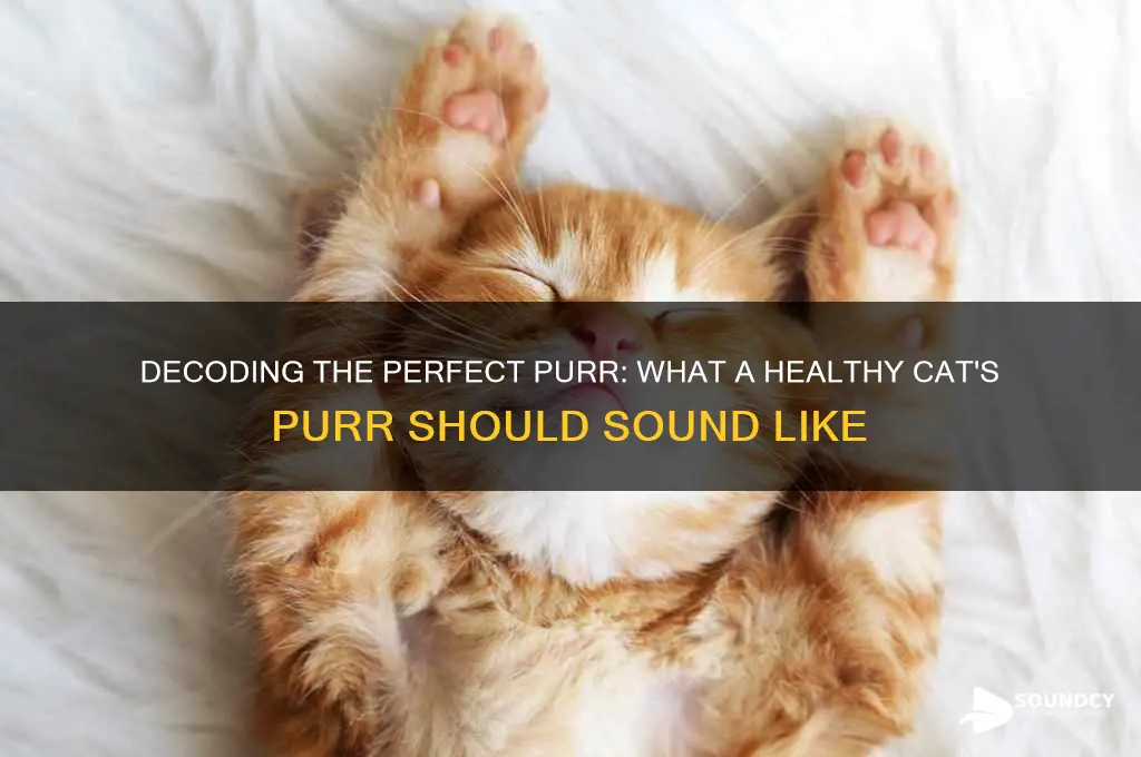 how should a healthy purr sound