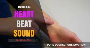 Understanding the Normal Rhythm: What a Healthy Heartbeat Should Sound Like
