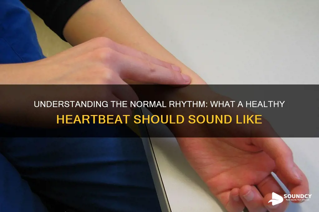 how should a heart beat sound