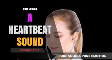 Understanding the Normal Rhythm: What a Healthy Heartbeat Should Sound Like