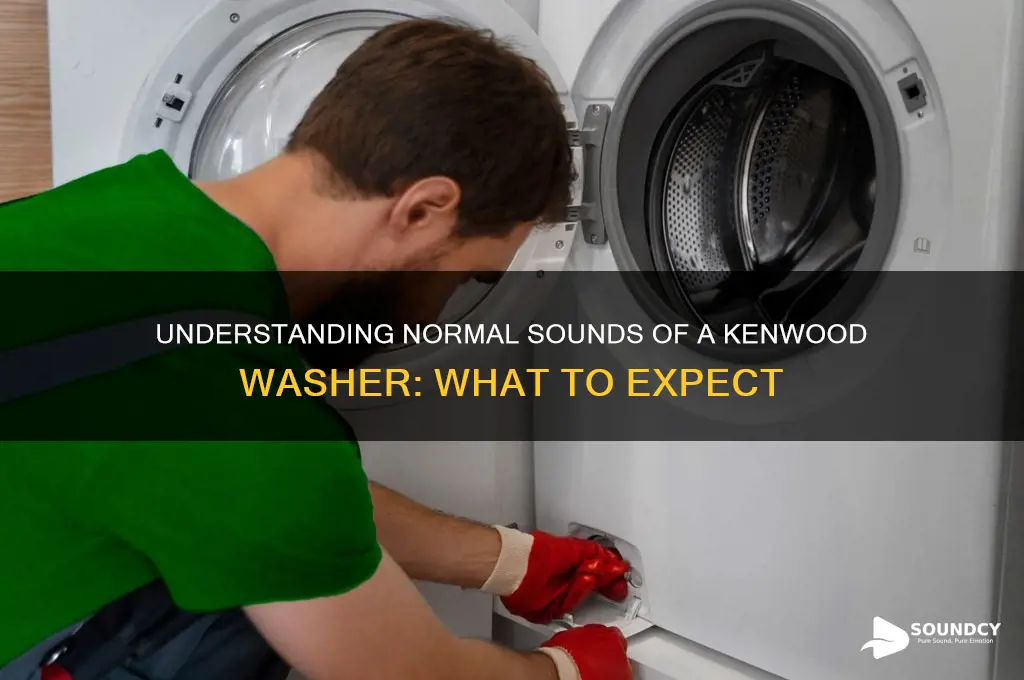 how should a kenwood washer sound