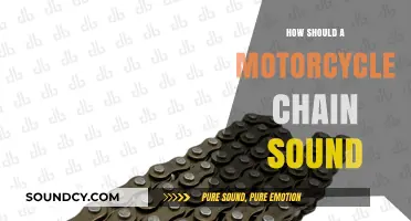 Understanding the Ideal Sound of a Motorcycle Chain: A Rider's Guide