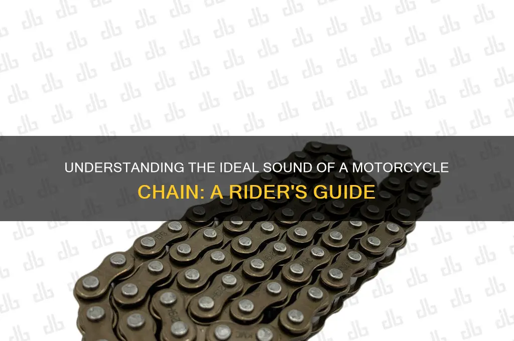 how should a motorcycle chain sound
