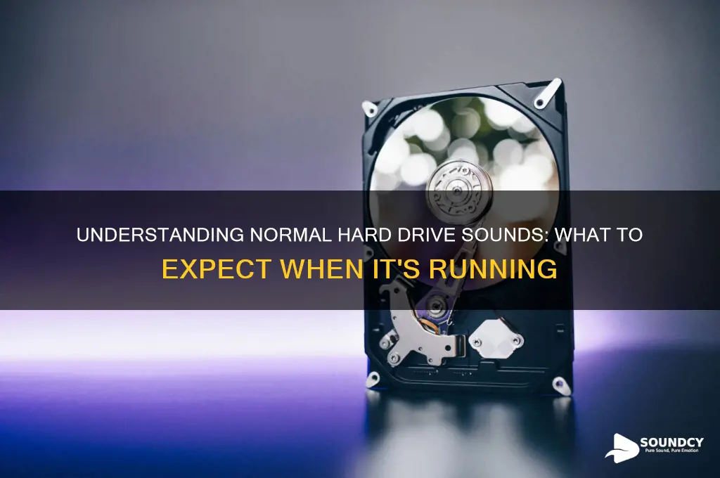 how should a normal hard drive sound when running