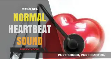 Understanding the Normal Heartbeat: What Healthy Heart Sounds Reveal