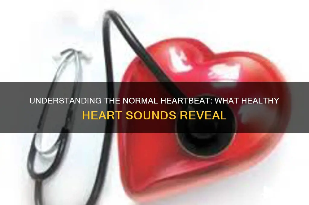 how should a normal heartbeat sound