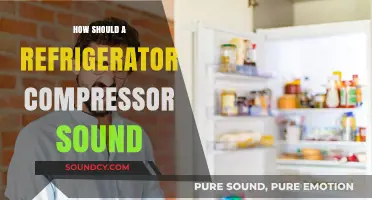 What's Normal? Understanding the Typical Sounds of a Refrigerator Compressor
