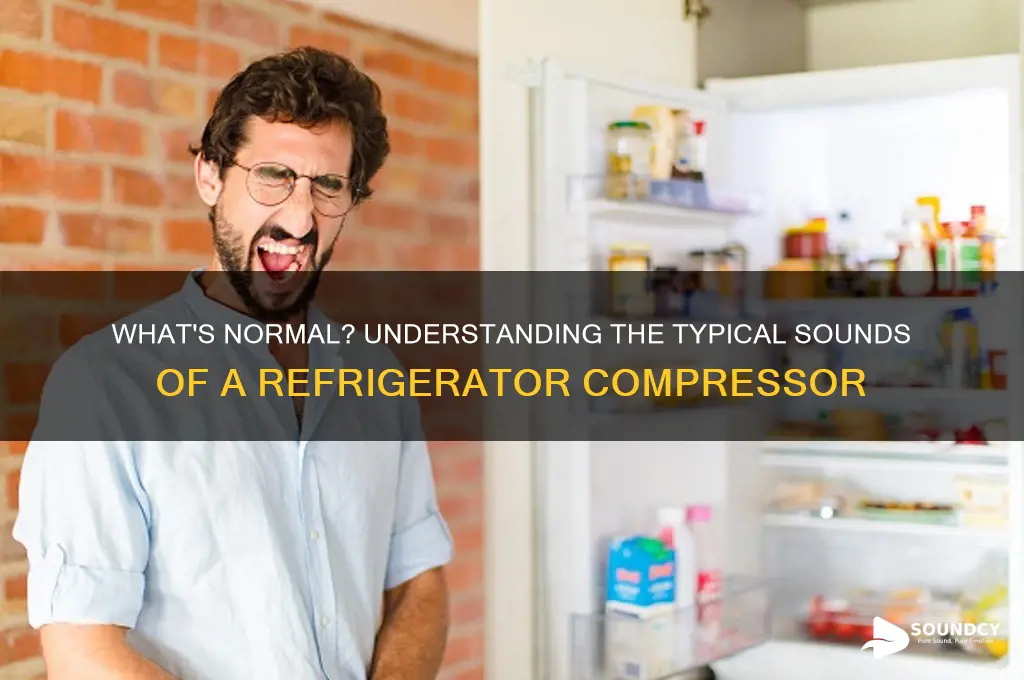 how should a refrigerator compressor sound