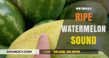 How to Identify a Ripe Watermelon by Its Sound: A Guide