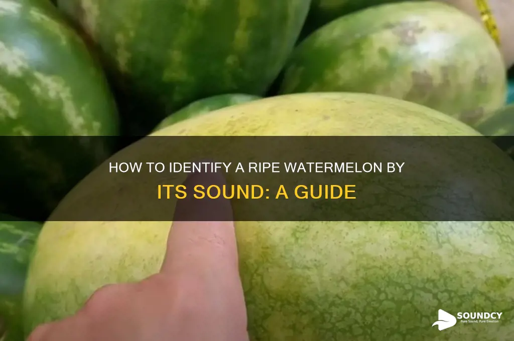how should a ripe watermelon sound