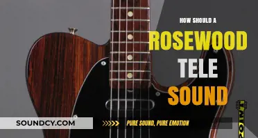 Rosewood Telecaster Tone: Rich, Warm, and Resonant Sound Explained