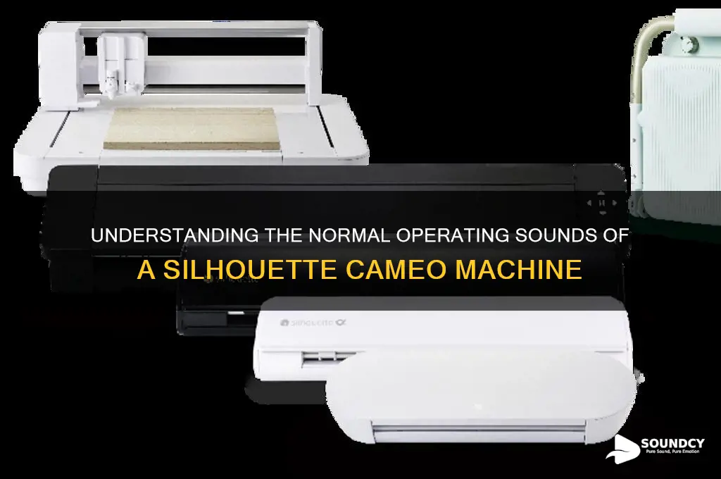 how should a silhouette cameo sound