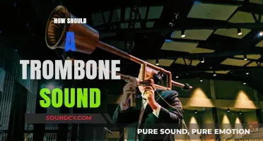 Mastering the Trombone's Rich, Resonant Sound: A Comprehensive Guide