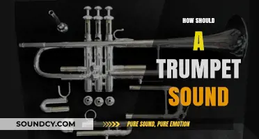 Mastering the Trumpet's Tone: A Guide to Ideal Sound Production
