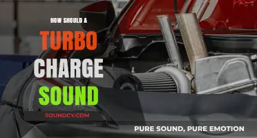 Understanding the Ideal Turbocharger Whine: What's Normal and What's Not