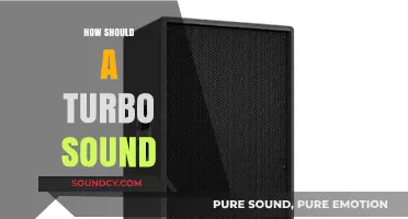 Understanding the Perfect Turbo Sound: What to Expect and Why