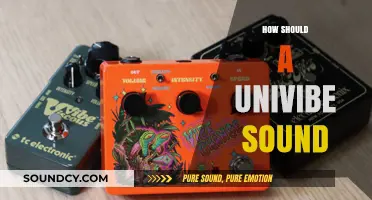 Mastering the Univibe: Crafting the Perfect Swirl and Tone