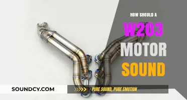 Understanding the Ideal Sound of a W203 Mercedes-Benz Engine