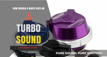 Understanding the Normal Sounds of a Turbo Wastegate in Action