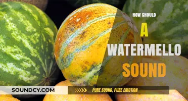 How to Tell a Perfect Watermelon by Its Sound: A Guide