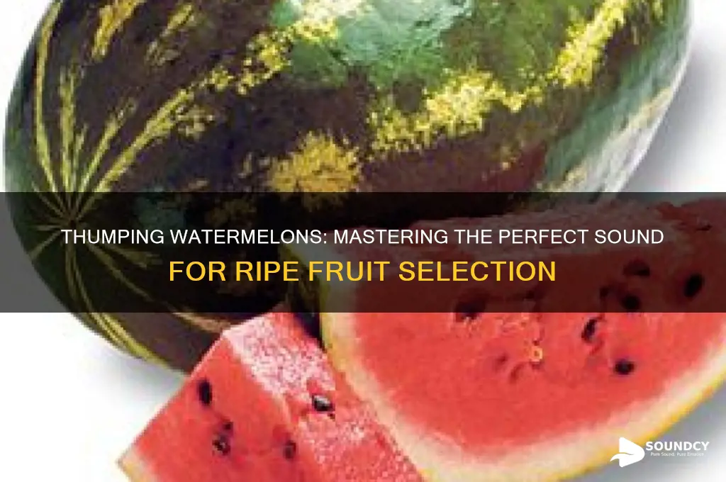 how should a watermelon sound when you thump it