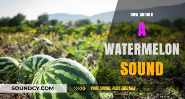 How to Pick a Perfect Watermelon: The Ideal Sound Guide