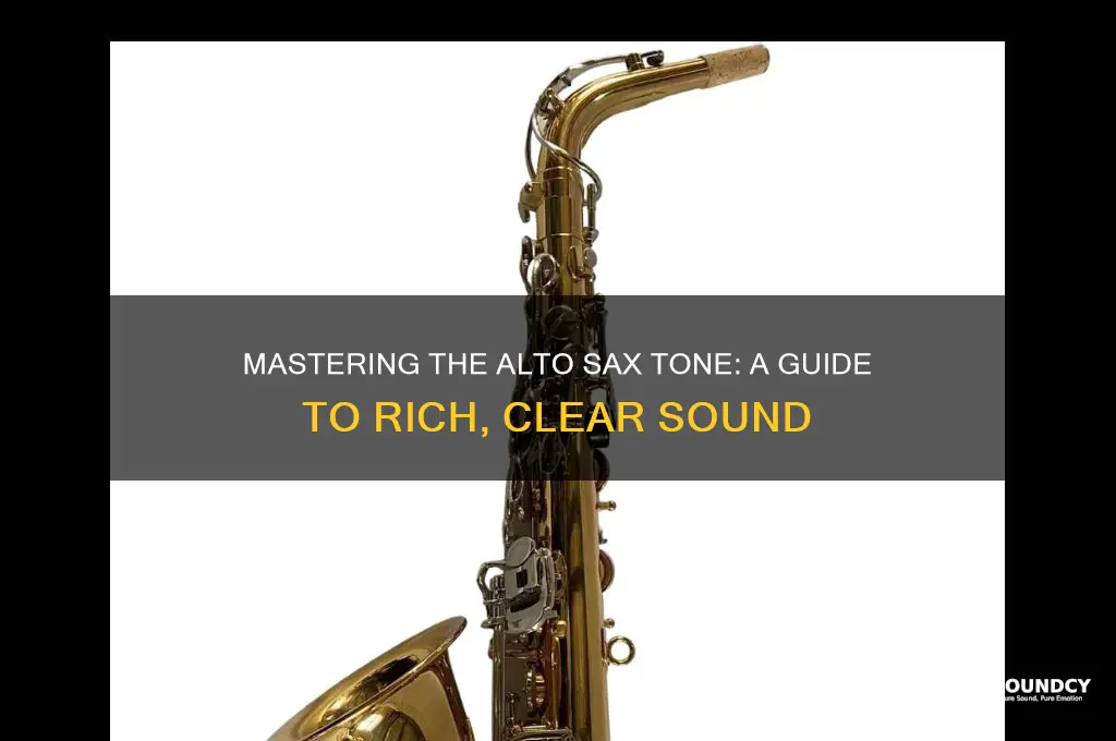 how should an alto sax sound