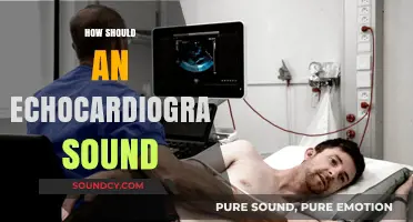 Understanding Echocardiogram Sounds: What to Expect During Your Heart Scan