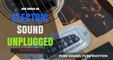 Unplugged Electric Sound: Mastering Acoustic Authenticity in Digital Music