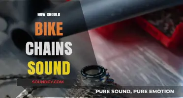 Understanding the Right Noise: What a Healthy Bike Chain Sounds Like