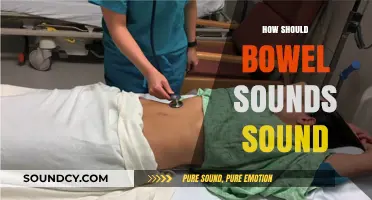 Understanding Normal Bowel Sounds: What to Listen For and Why