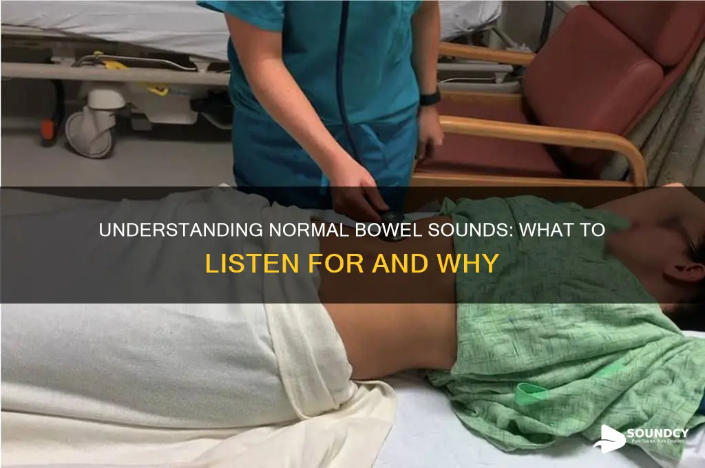 how should bowel sounds sound