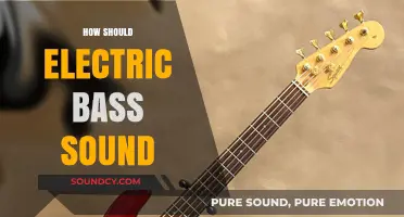 Crafting the Perfect Tone: How Should Your Electric Bass Sound?