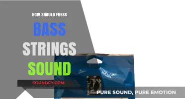 Perfect Tone: What Fresh Bass Strings Should Sound Like