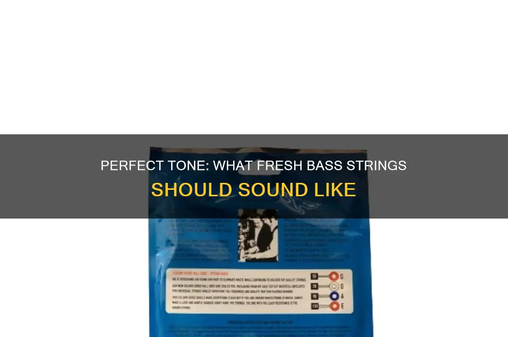 how should fress bass strings sound