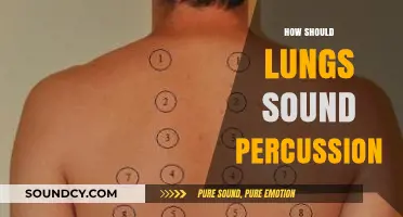 Mastering Lung Percussion: Understanding Healthy Respiratory Sounds and Techniques