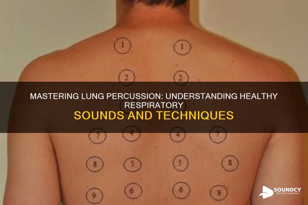 how should lungs sound percussion