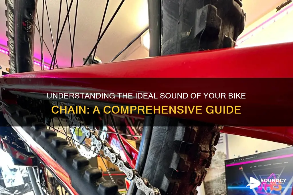 how should my bike chain sound