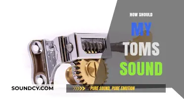Achieving Perfect Tom Sound: Tuning, Muffling, and Playing Techniques Explained